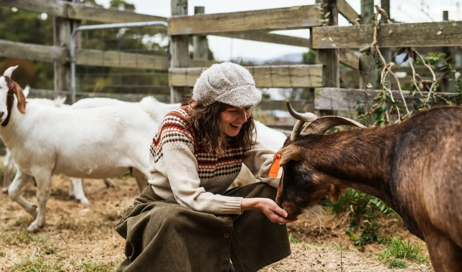 A smiling woman in a knitted hat crouches to feed a brown goat from her hand at Lavender Goat Farm in Petcheys Bay