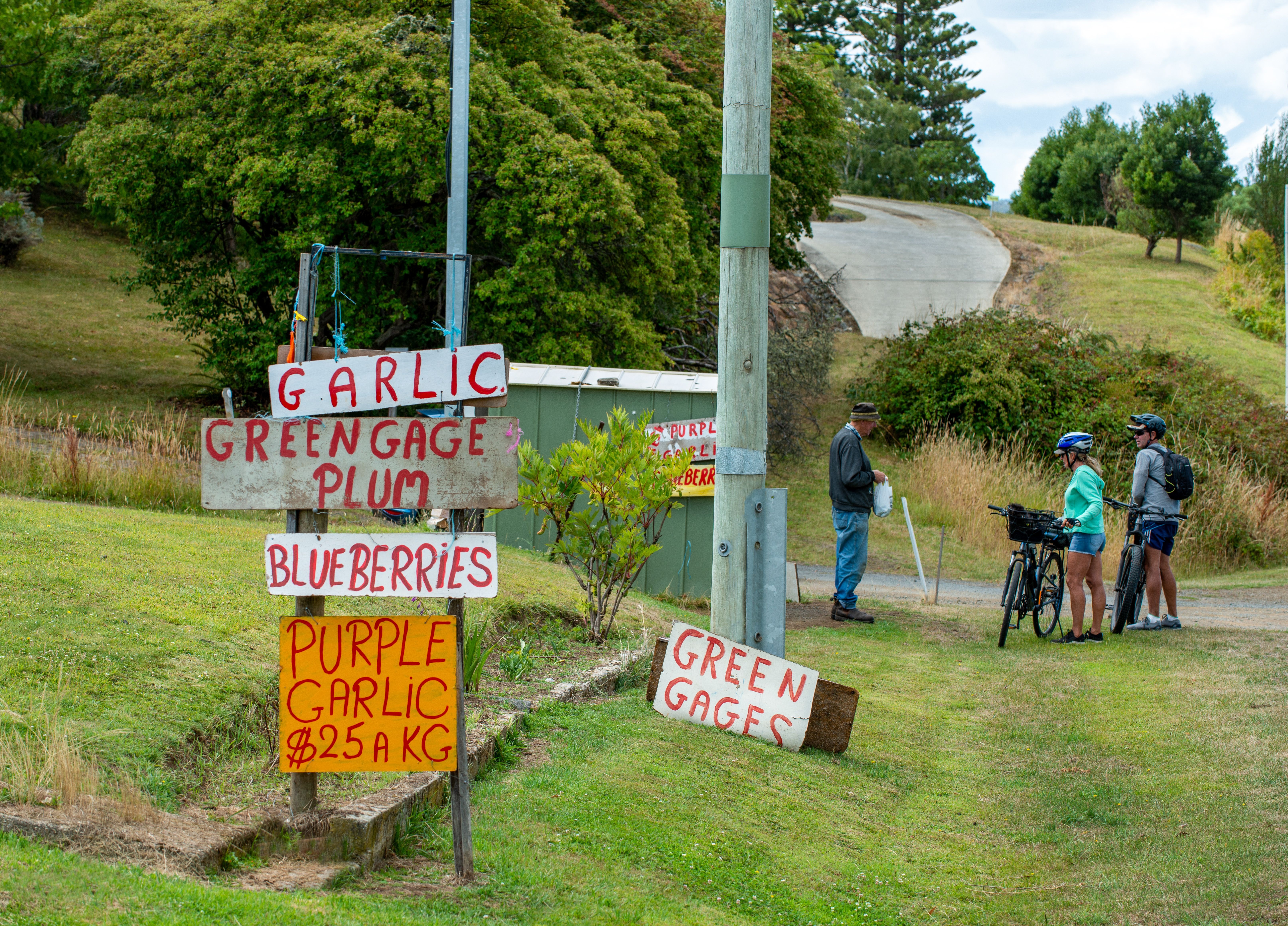 Cyclists chat with a stallholder at a roadside produce stall with handpainted signs for garlic, plums and blueberries, Franklin