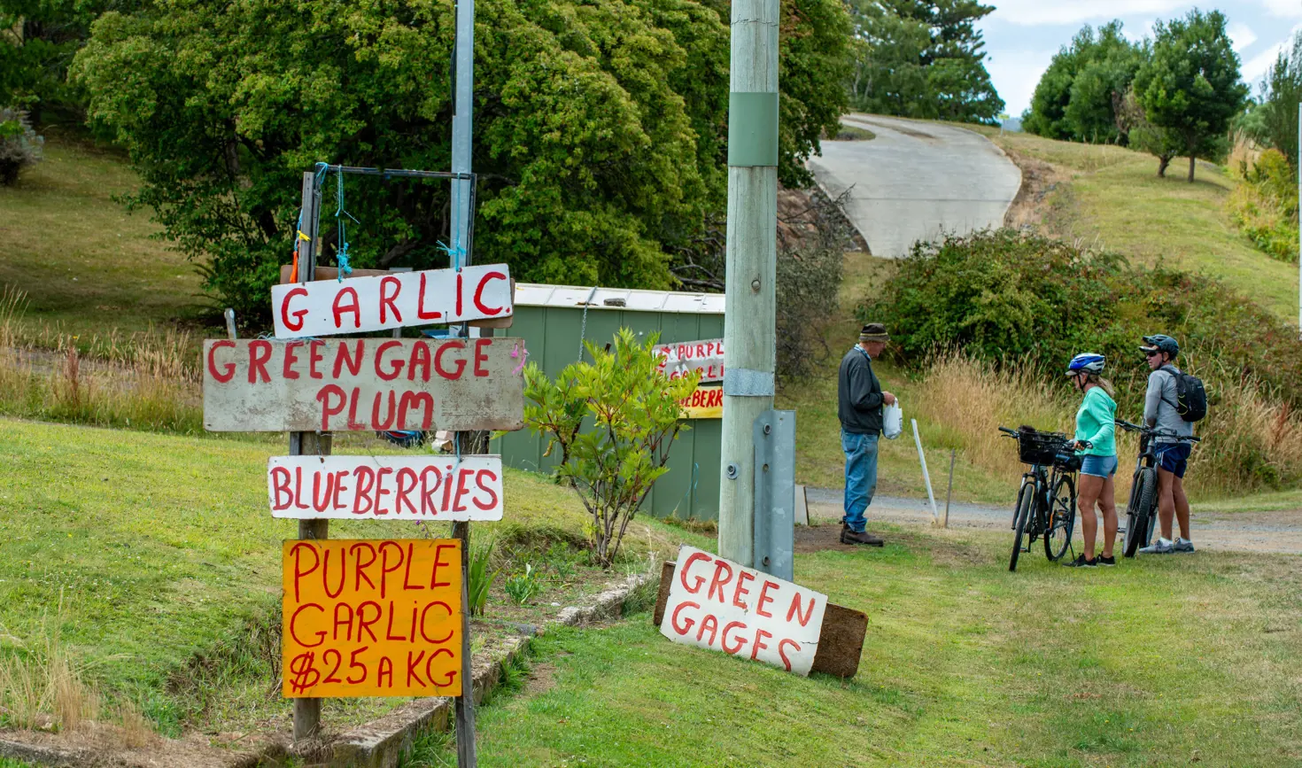 Cyclists chat with a stallholder at a roadside produce stall with handpainted signs for garlic, plums and blueberries, Franklin