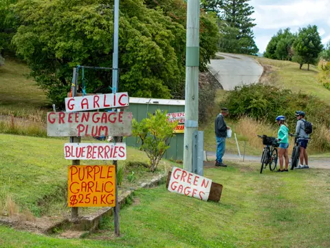 Cyclists chat with a stallholder at a roadside produce stall with handpainted signs for garlic, plums and blueberries, Franklin