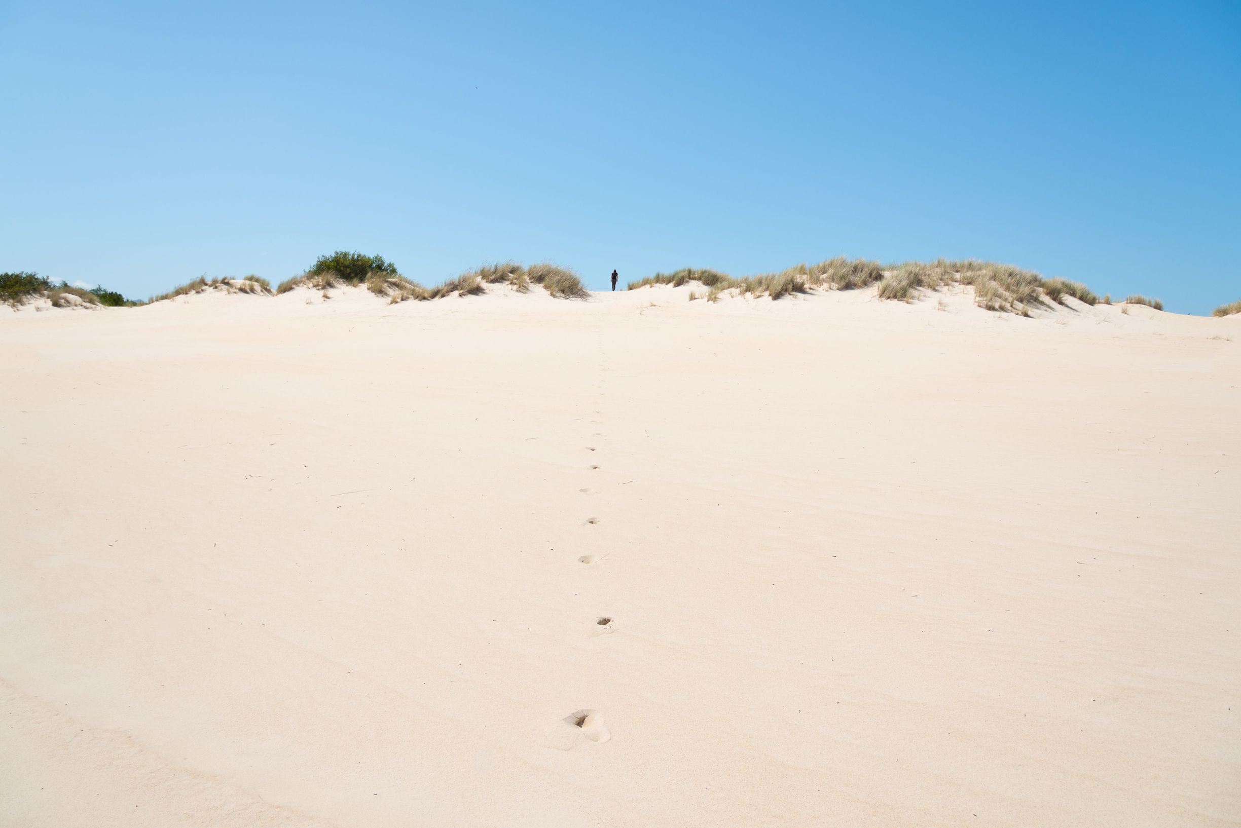 Footprints lead across white sand toward a distant figure standing on top of the grass topped Henty Dunes under blue sky