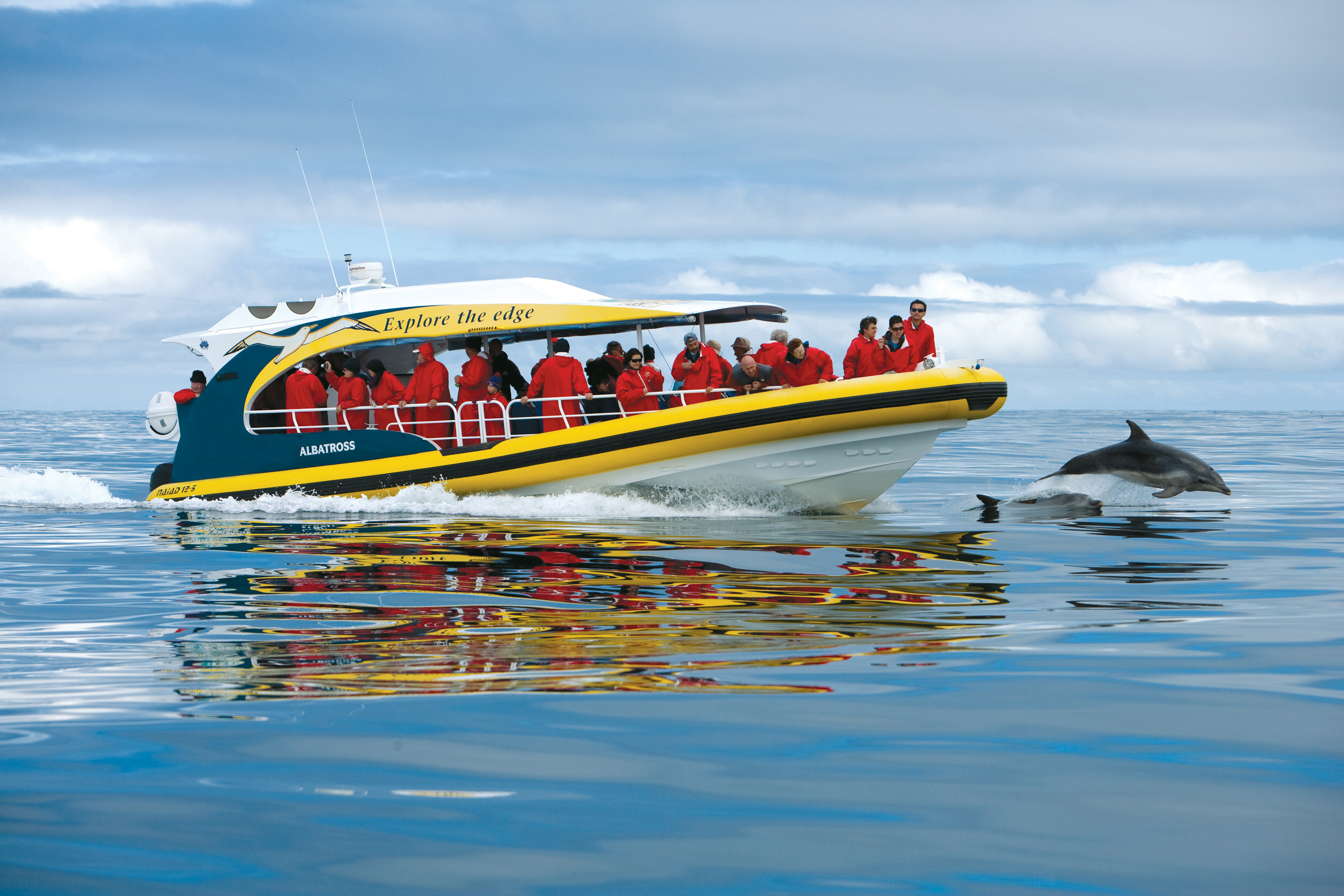 Passengers in red jackets watch dolphins leaping beside the Pennicott Wilderness Journeys cruise vessel, Bruny Island