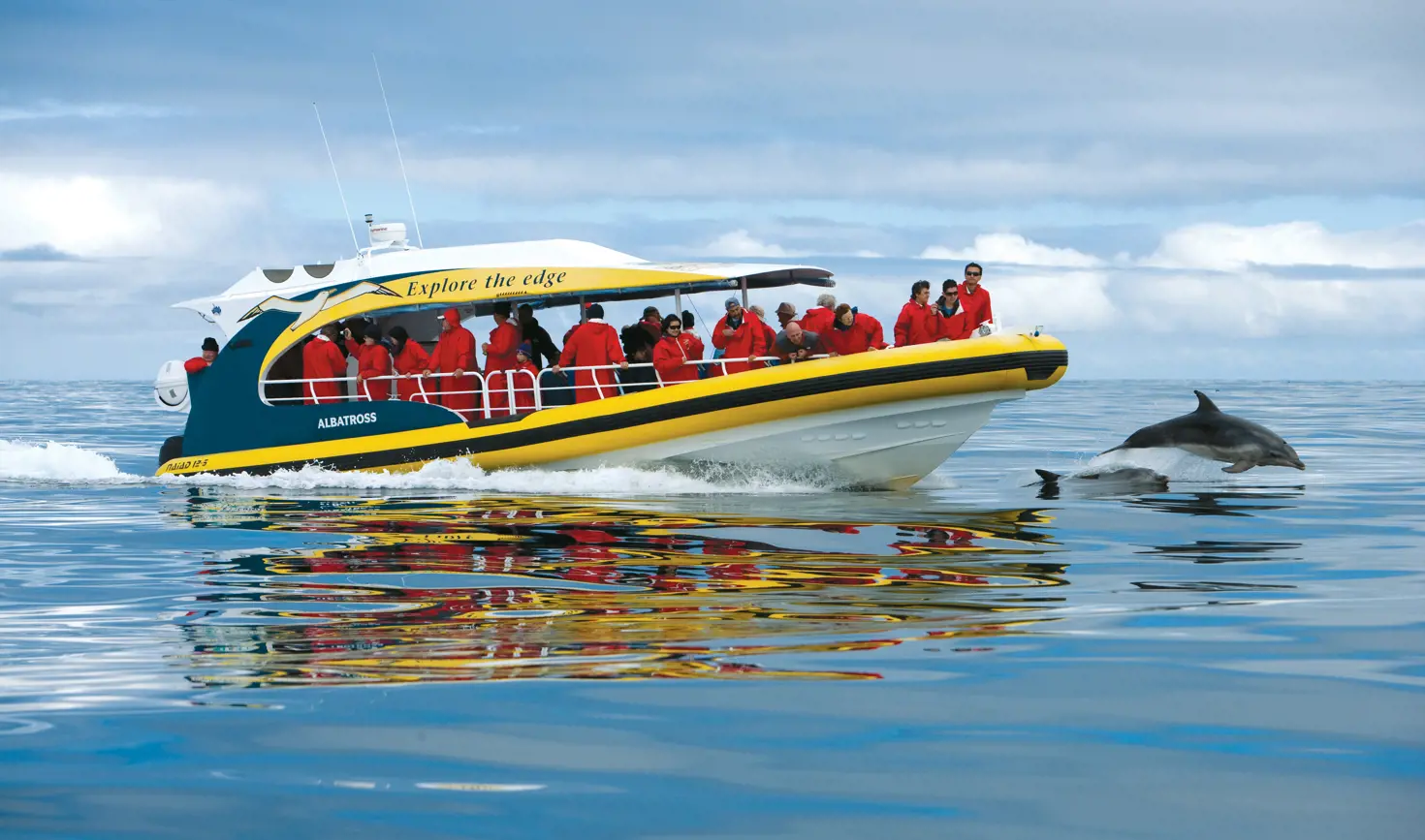 Passengers in red jackets watch dolphins leaping beside the Pennicott Wilderness Journeys cruise vessel, Bruny Island