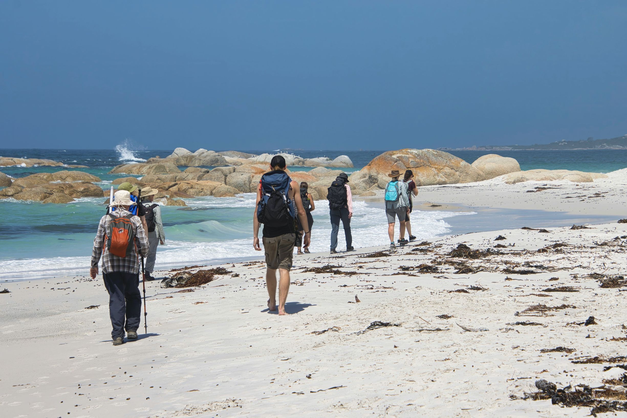 Group of walkers with backpacks on a white sand beach during the wukalina Walk, wukalina / Mount William