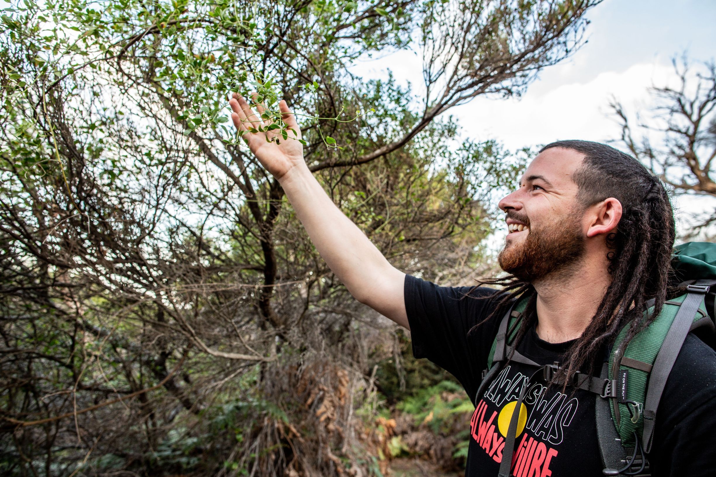 Palawa / Pakana guide pointing out native clematis vine during the wukalina Walk, wukalina / Mount William