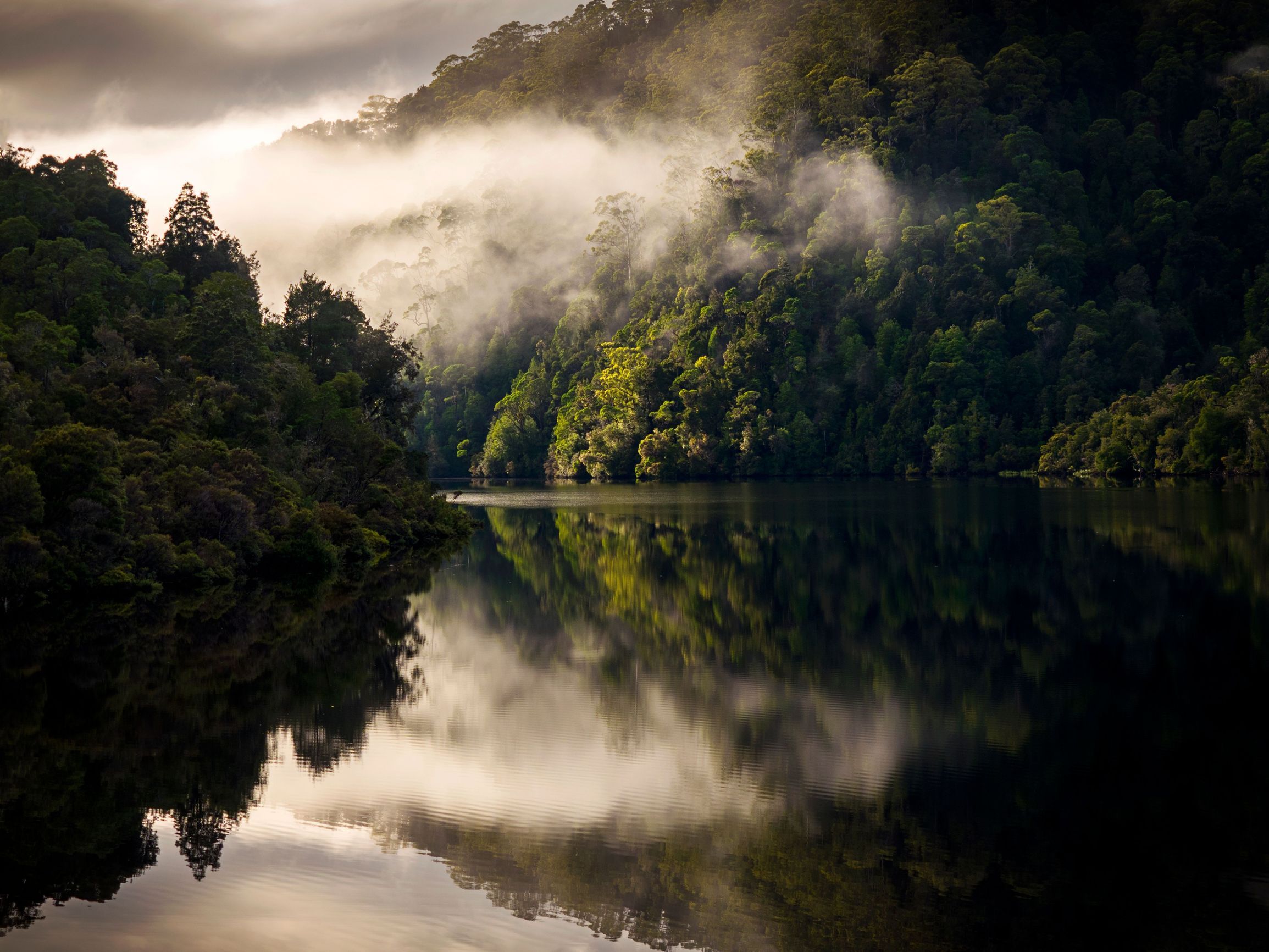 Mist rising over forested hills reflected in the still Pieman River