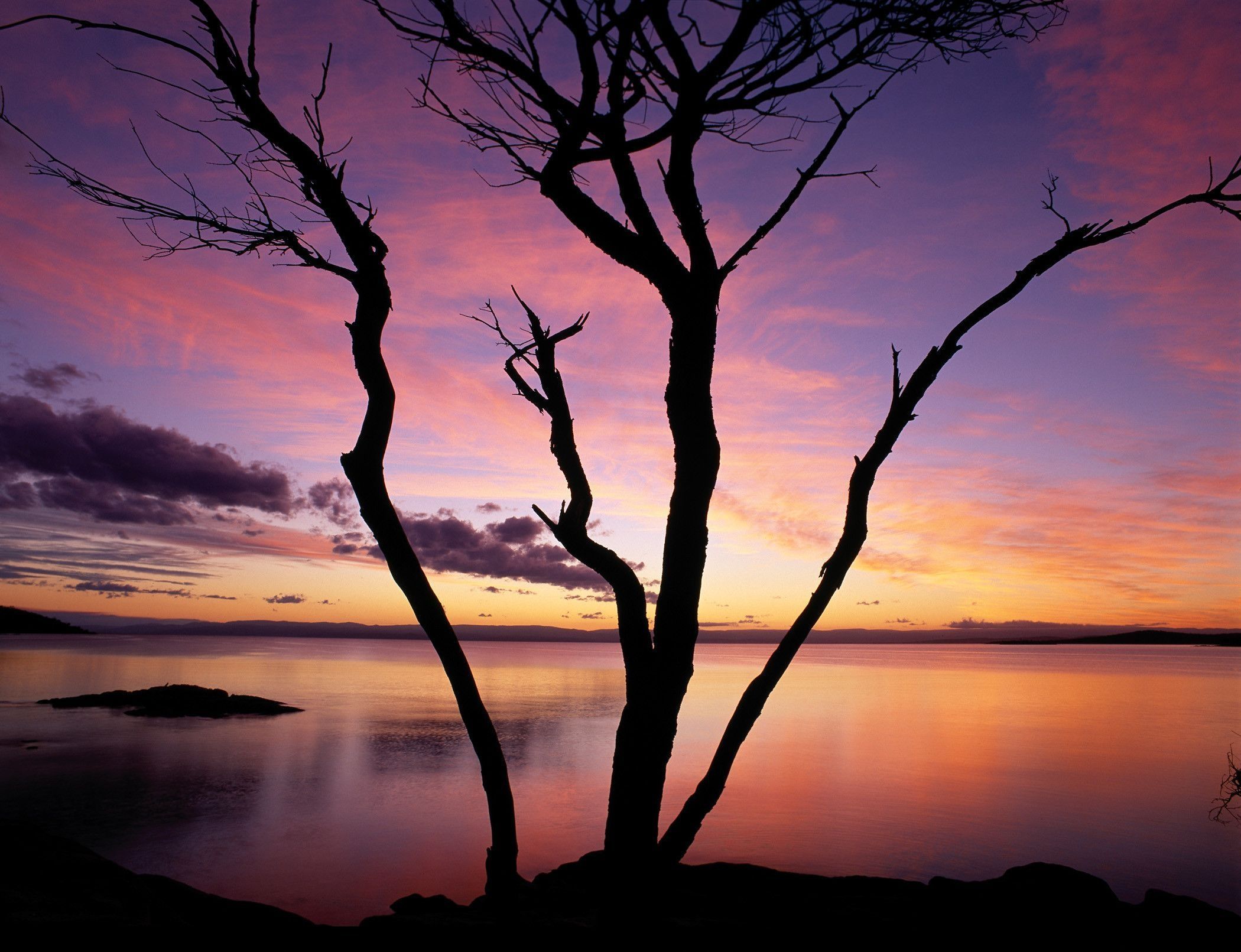 Bare tree silhouetted against a colourful sky reflected in calm water at Sleepy Bay, Freycinet Peninsula