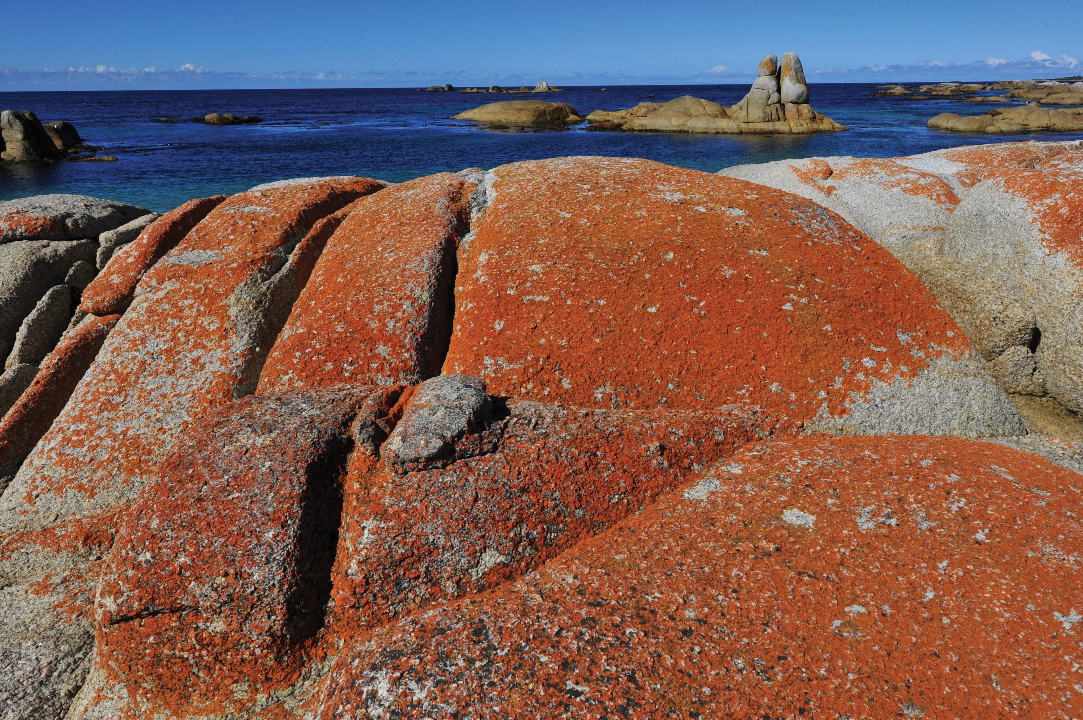 Orange lichen-covered granite boulders beside clear blue sea at Sloop Rock, larapuna / Bay of Fires area