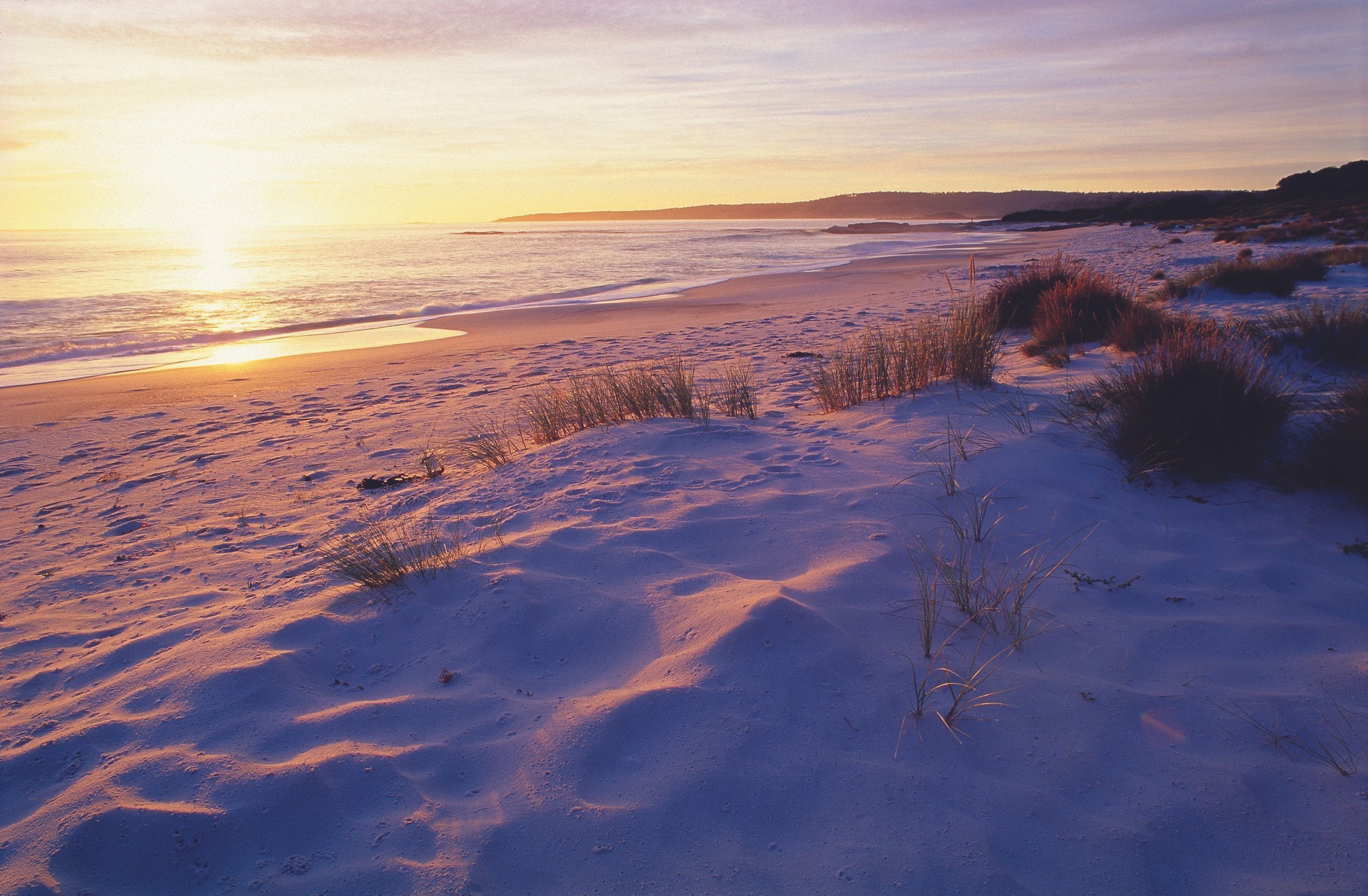 Dune grasses and a wide sandy beach with the sun low over the sea at Taylors Beach, The Gardens