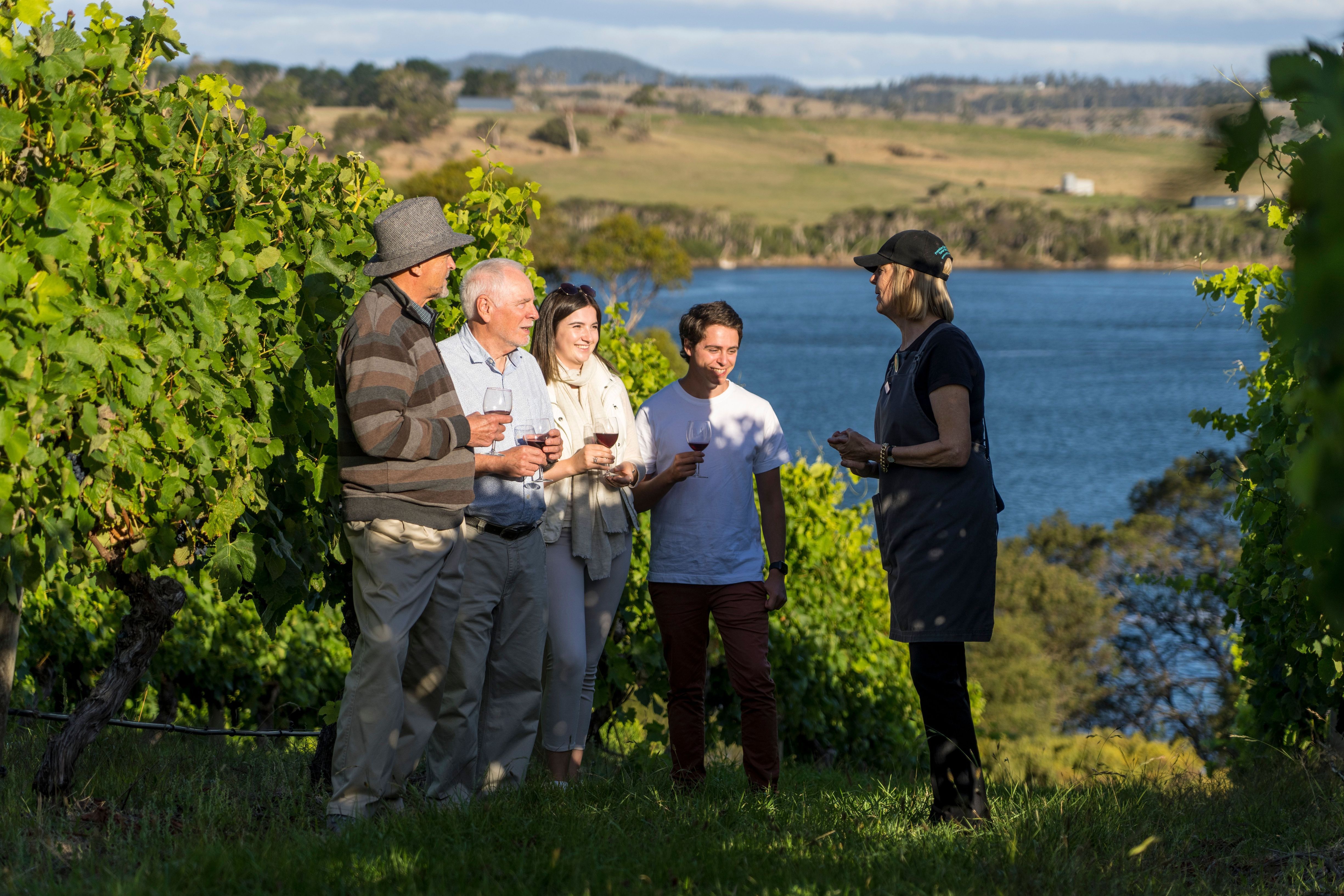 People tasting red wine with a host in a vineyard overlooking kanamaluka / River Tamar at Waterton Hall Wines