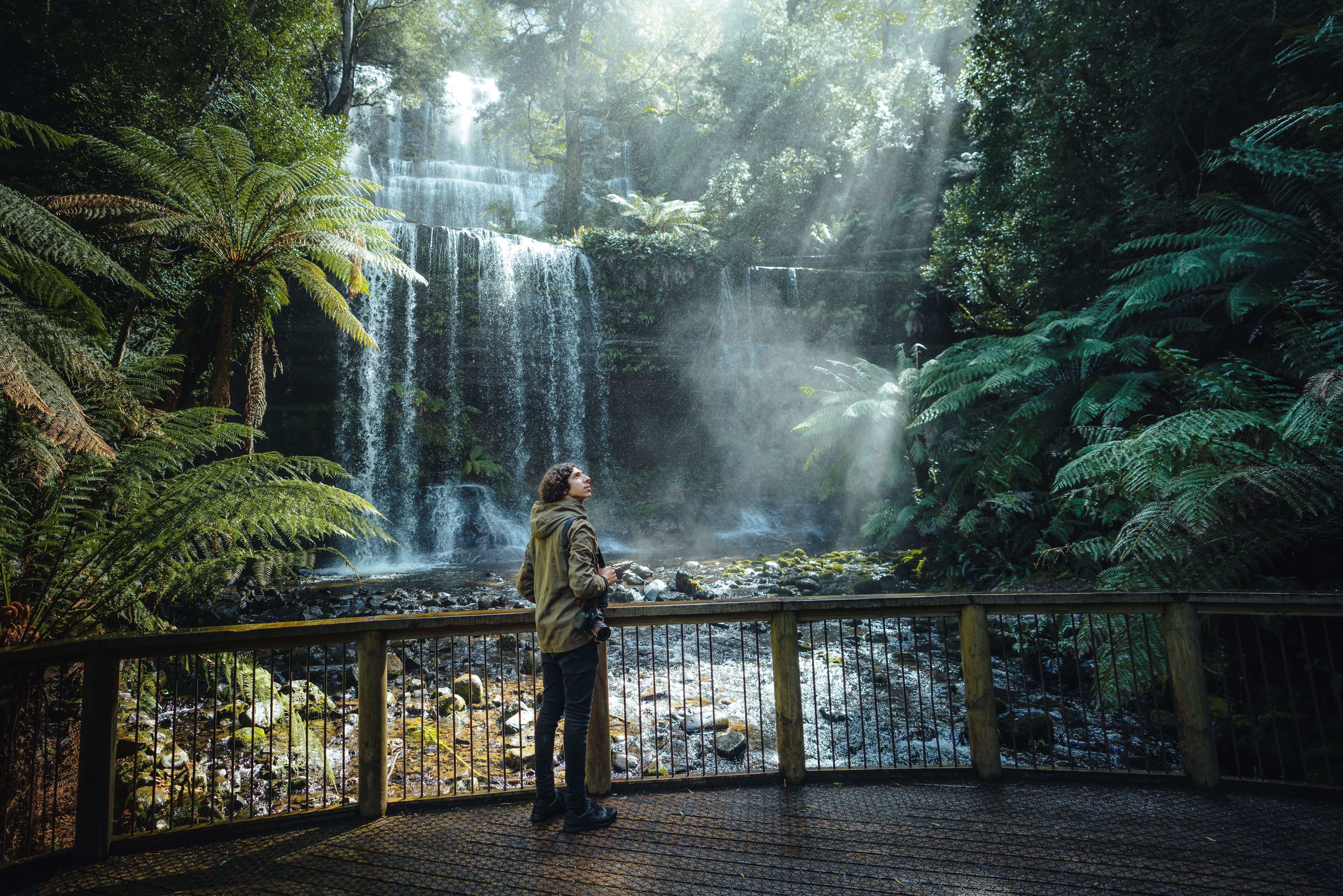 A photographer takes in the view of Russell Falls through tree ferns and forest vegetation, Mount Field National Park