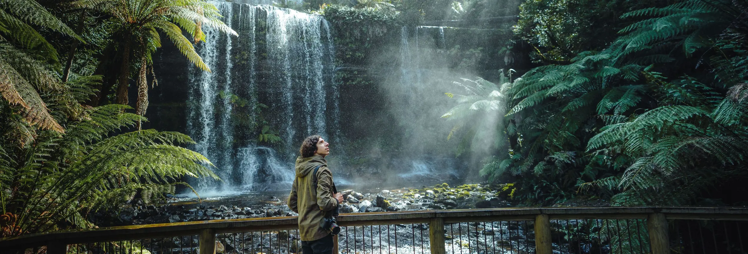 A photographer takes in the view of Russell Falls through tree ferns and forest vegetation, Mount Field National Park