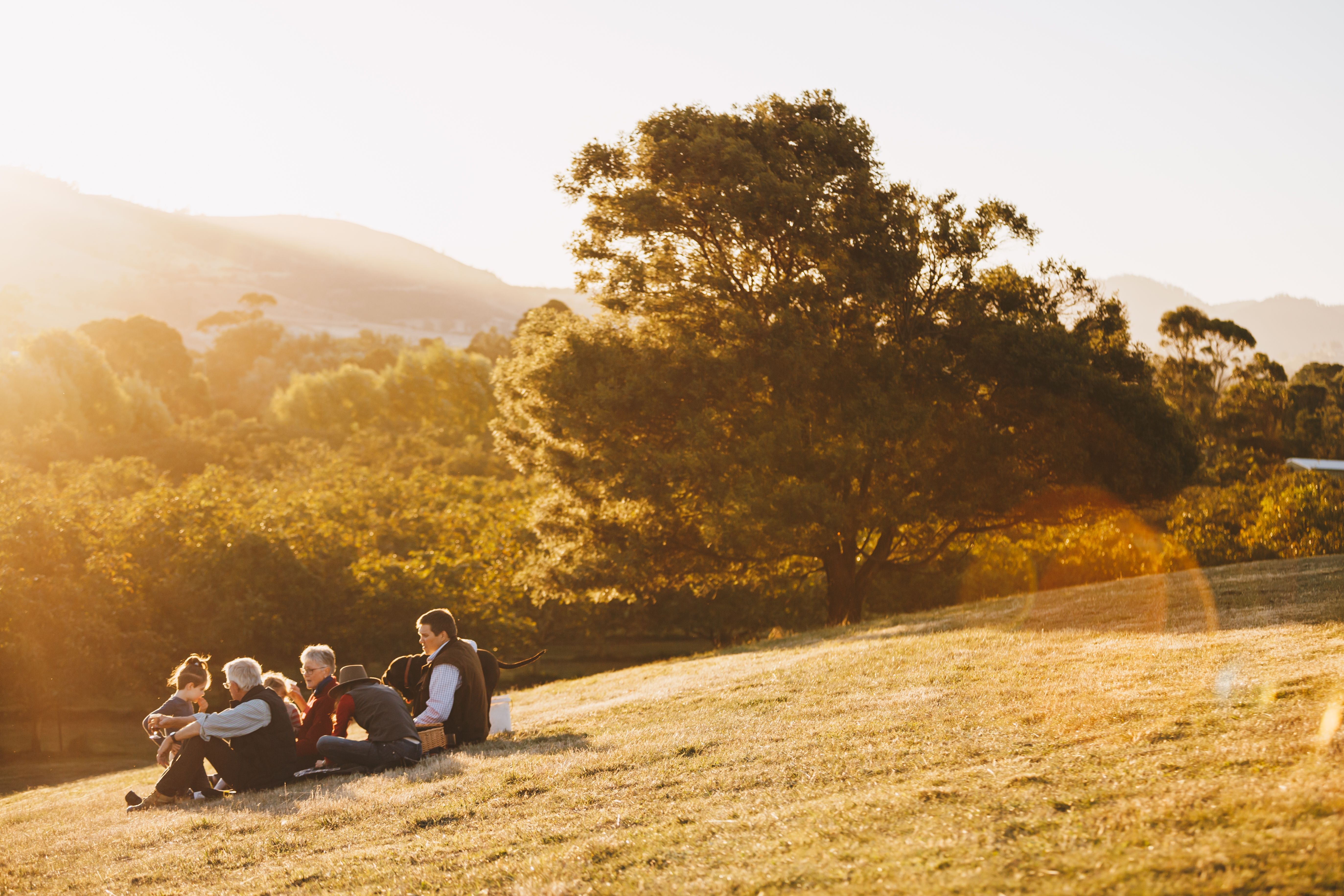 A group sits together on a grassy hillside in warm golden light with hills and trees behind at Coaldale Walnuts, Richmond