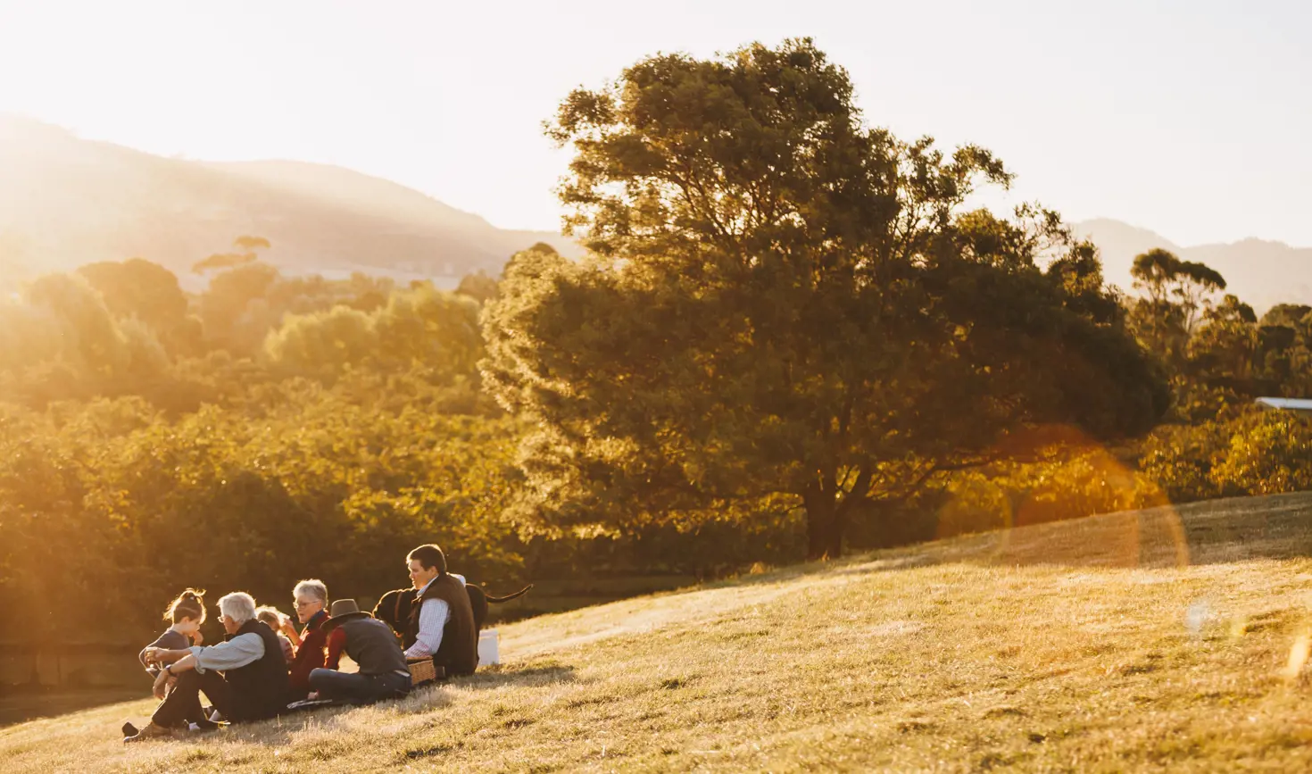 A group sits together on a grassy hillside in warm golden light with hills and trees behind at Coaldale Walnuts, Richmond