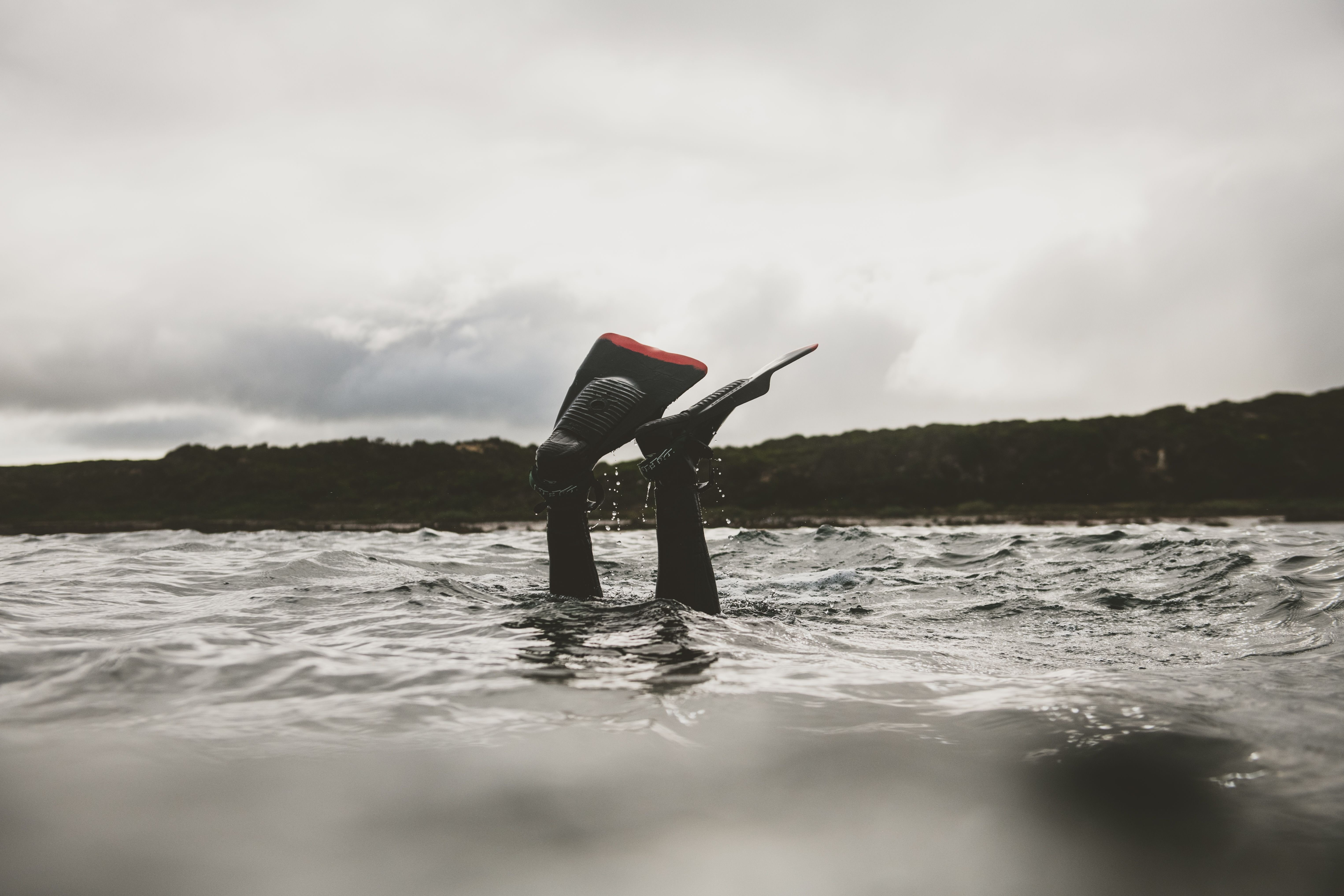 A diver's wetsuit boots and fins poke above the water surface at King Island on an overcast day