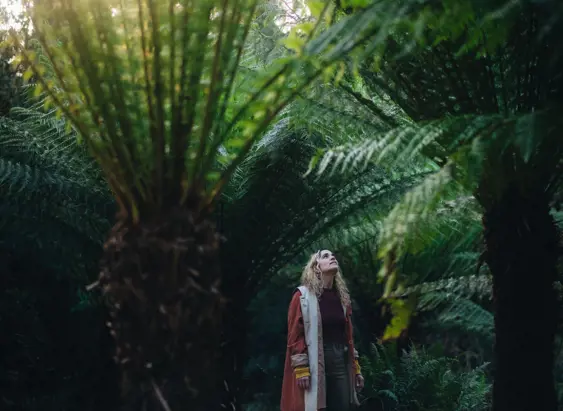 A person looks up at the canopy of towering tree ferns with sunlight filtering through at Waterworks Reserve