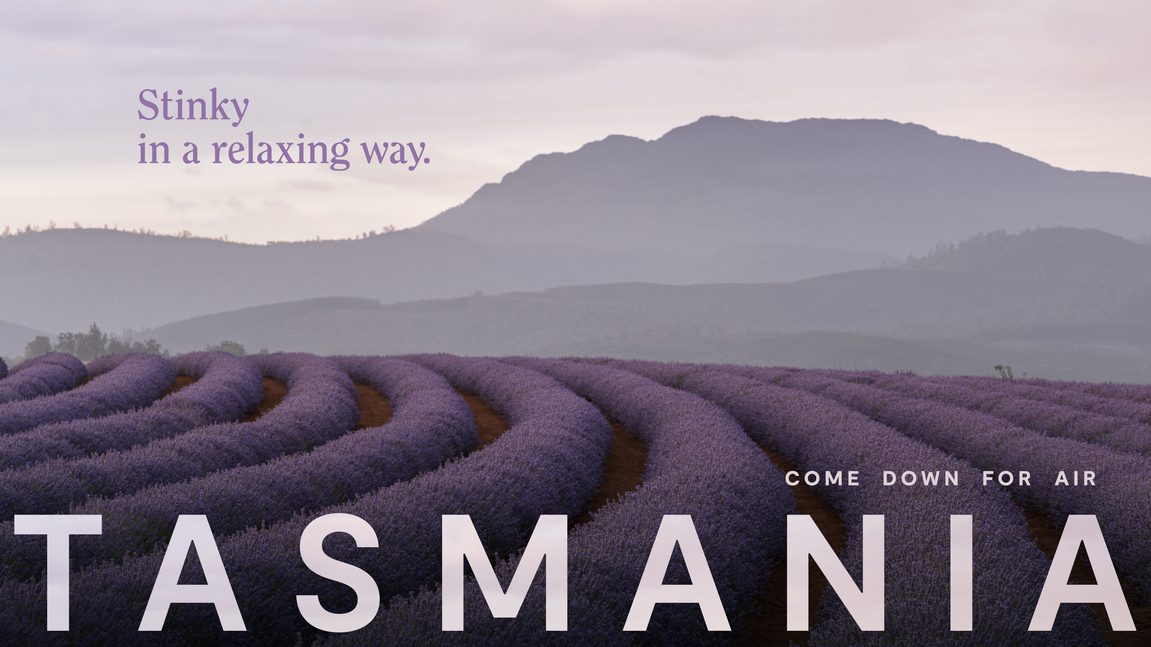 Come Down For Air campaign ad featuring rows of lavender fields and mountains with the tagline Stinky in a relaxing way