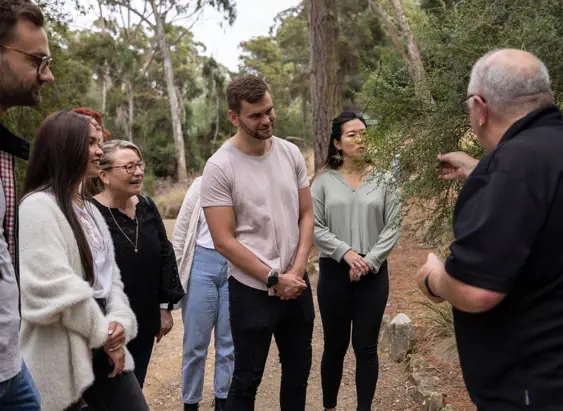 Visitors listen as a guide speaks and gestures on a bushland trail during a kooparoona niara Tours experience in Launceston