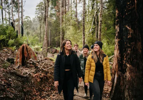A group of friends smile as they walk along a forest trail among tall trees at Tahune Adventures in Geeveston