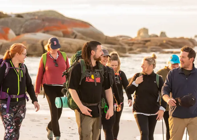 A Pakana / Palawa guide leads walkers along a sandy beach with orange lichen covered boulders, wukalina Walk