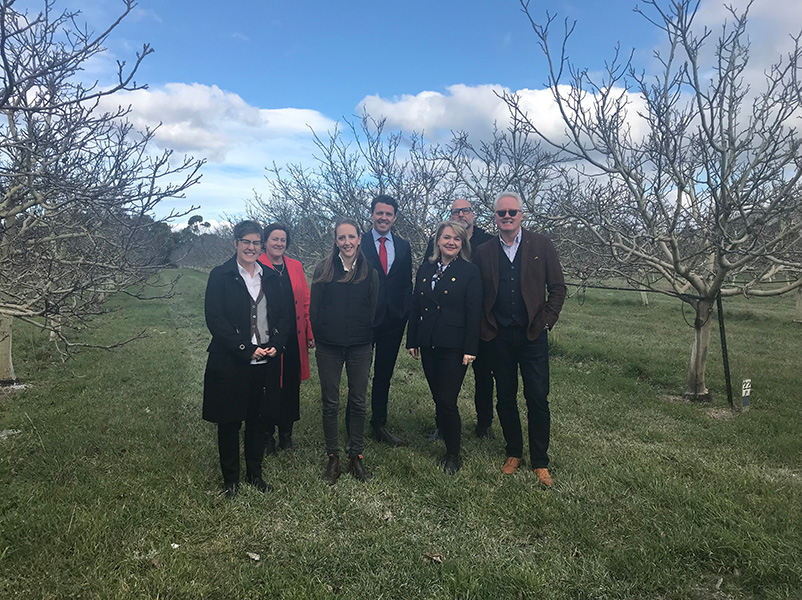 Agritourism launch amongst orchard