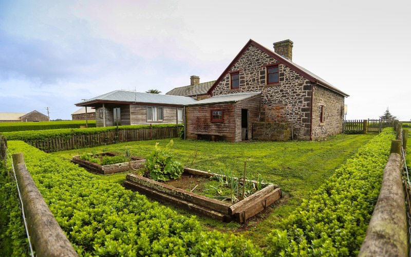 Two vegetable planters surrounded by green lawns and hedges sit behind an historic cottage in Stanley, north west Tasmania