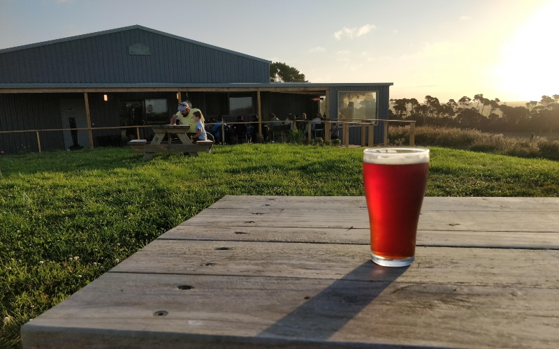 A red ale is illuminated by the late afternoon sun in the beergarden at King Island Brewhouse.