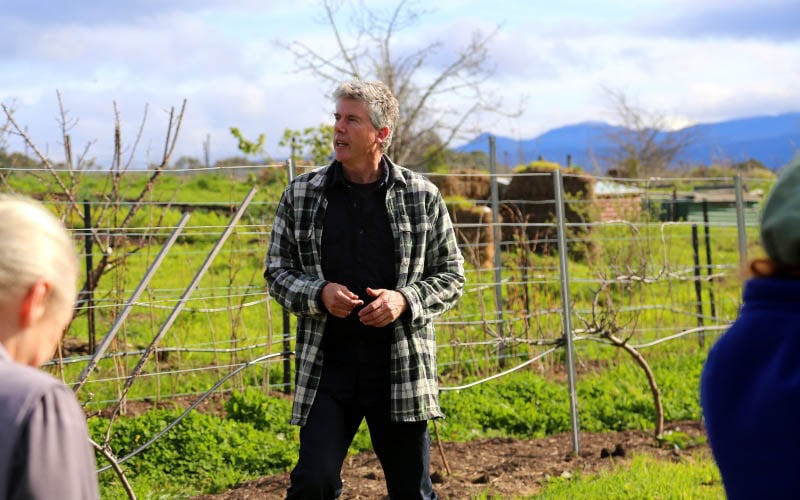 Matthew Evans, standing in front of a row of new wine grapes 