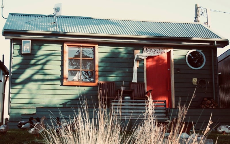 A wooden shack, painted in a shade of green with a bright red door, stands amongst tall grass.