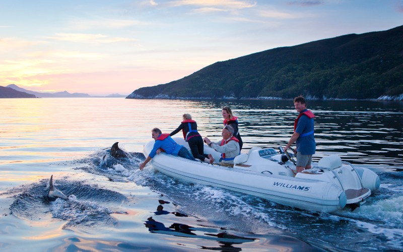 Dolphins break the service of the water near an inflatable boat with a small group of people, watching on.