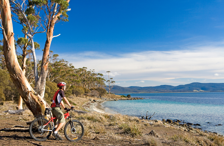 a mountain bike rider looking at the sea