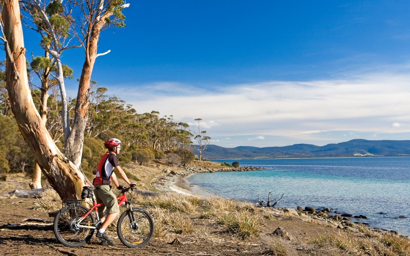A cyclist on his mountain bike stops under a tree near the beach on a clear sunny day 