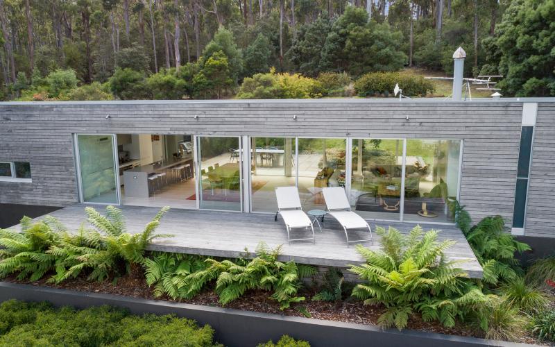 A verandah extends out over ferns from the front of a contemporary building nestled in forest