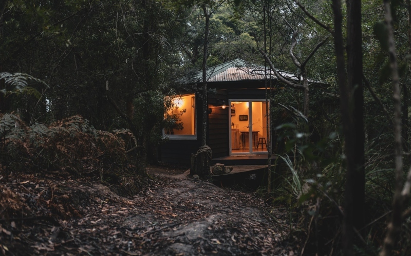 A cabin sits in the shade of tall forest cover.