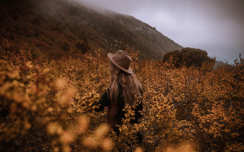 A woman in a wide brimmed hat stands amongst the fagus